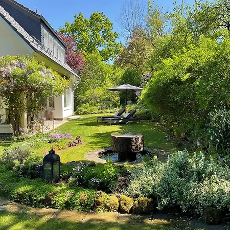 Idyllische Stadtwohnung Im Gruenen * Siegen